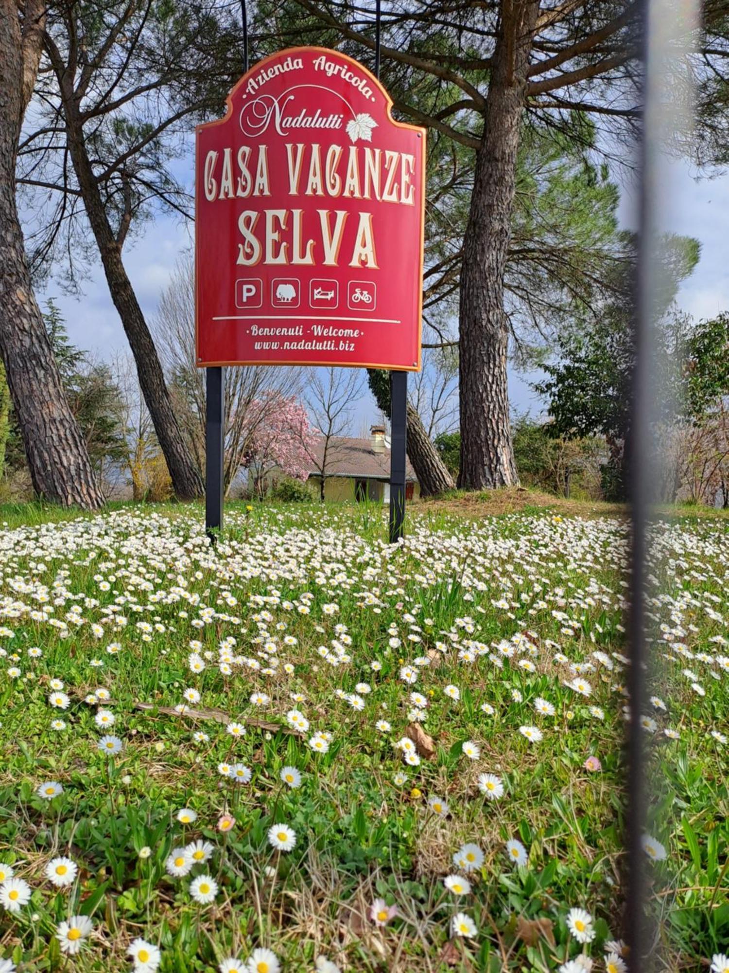 Casa Vacanze Selva Premariacco ภายนอก รูปภาพ